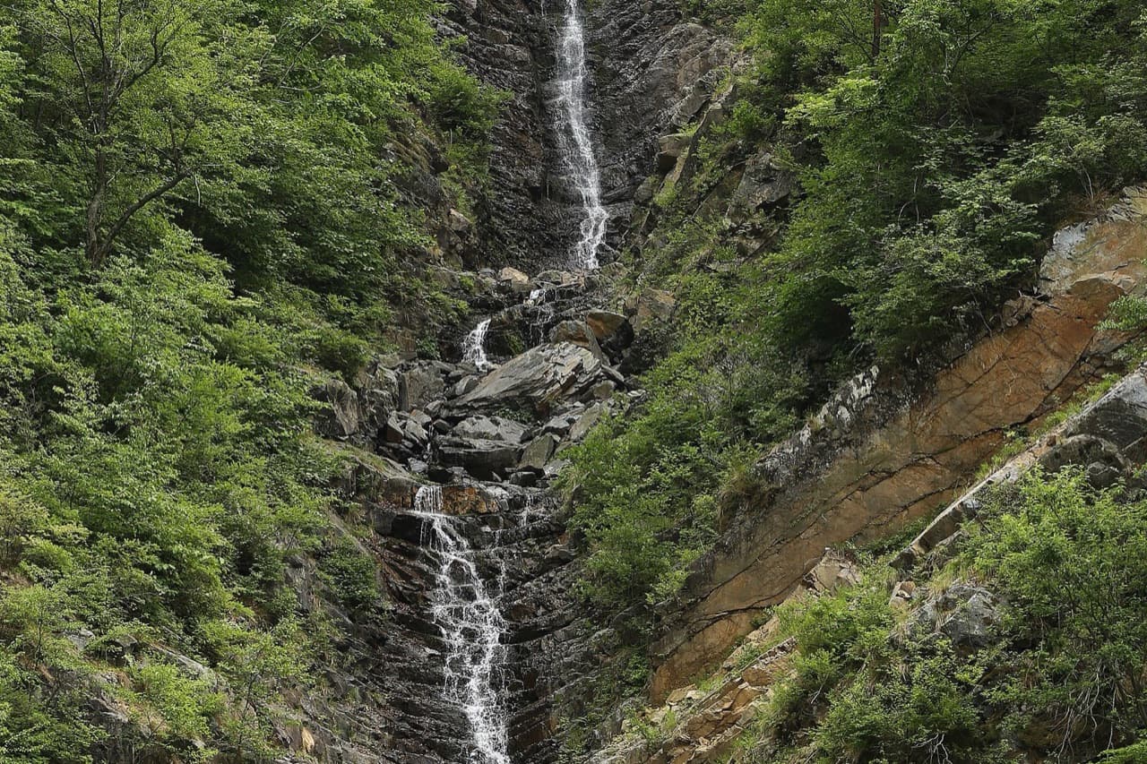 충주자유시장