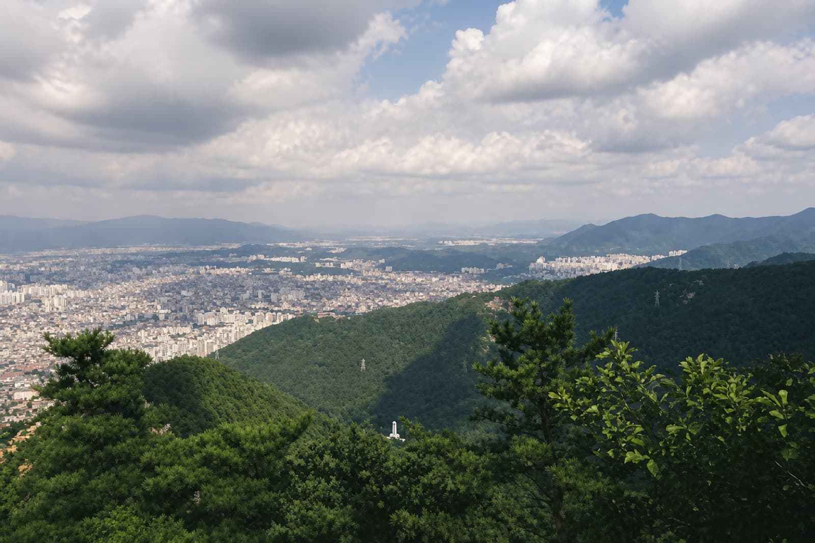 대구