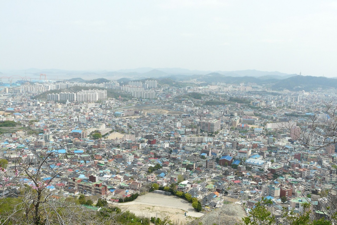 초원사진관