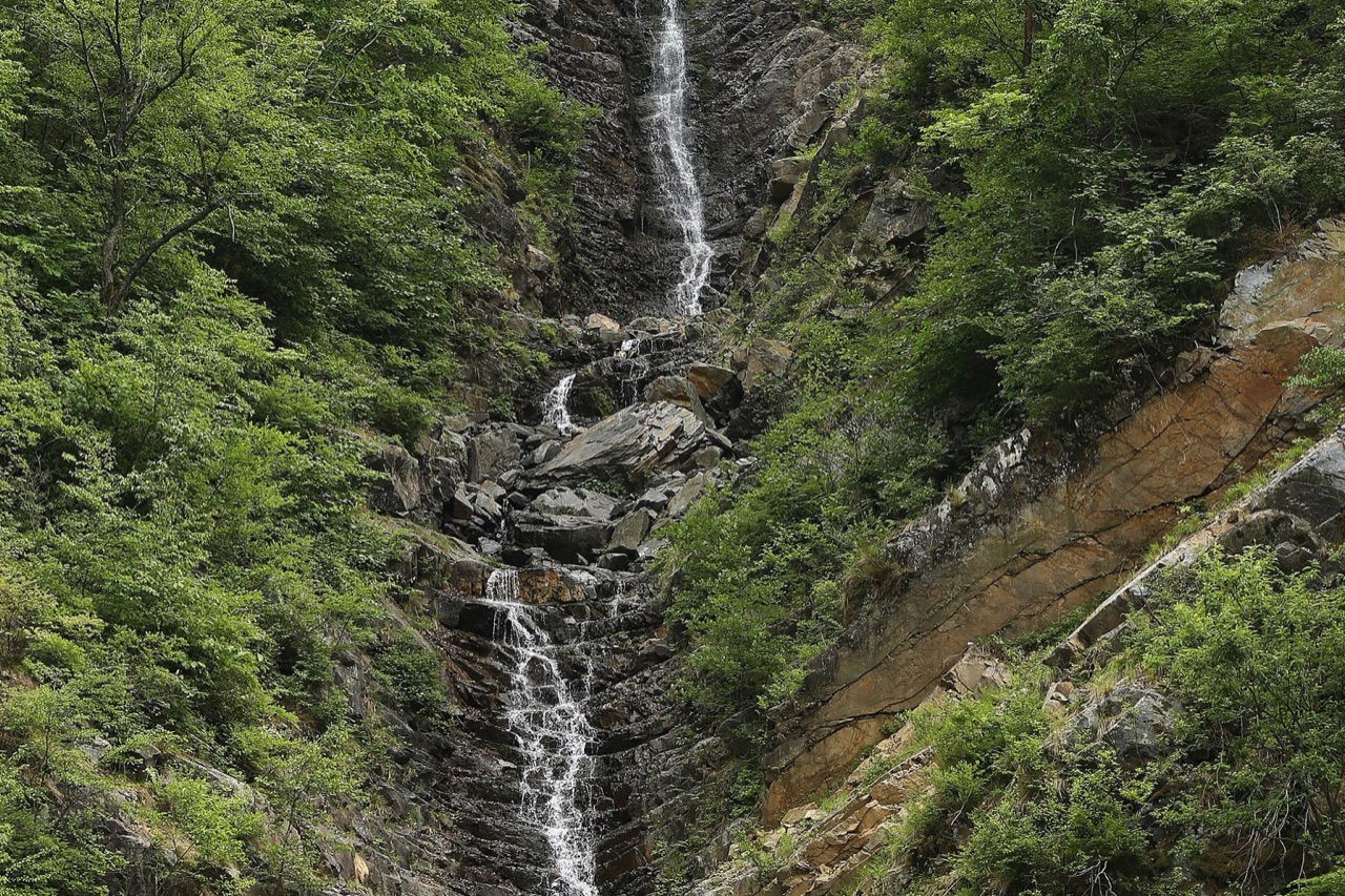 충주자유시장