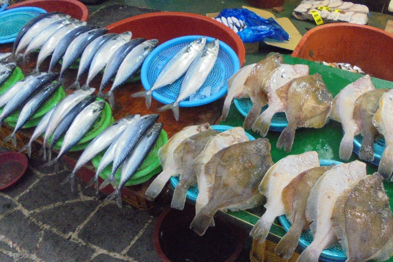 대포항