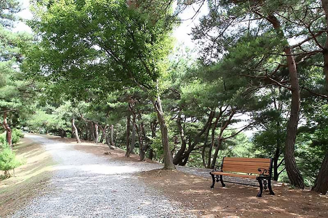 계족산 황톳길