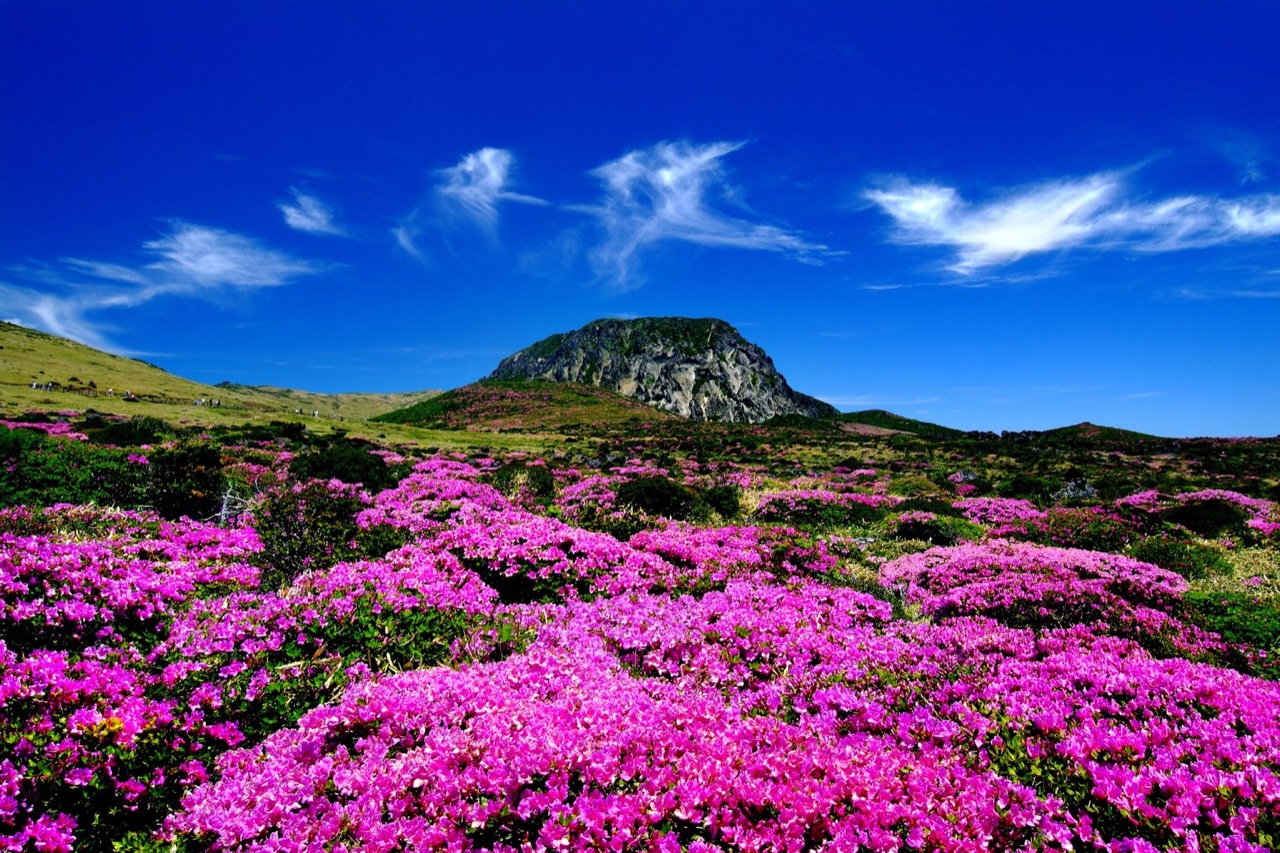한라산 국립공원