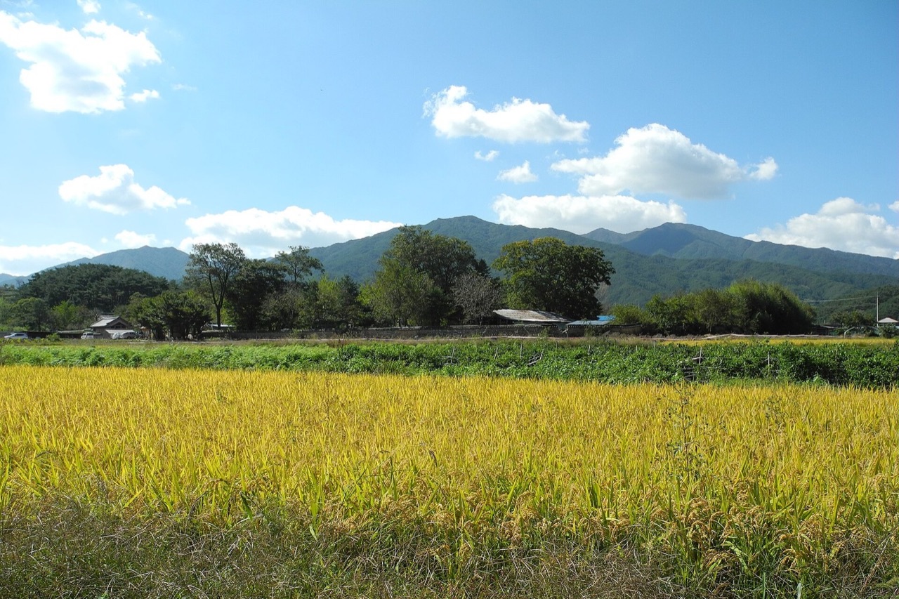 실상사