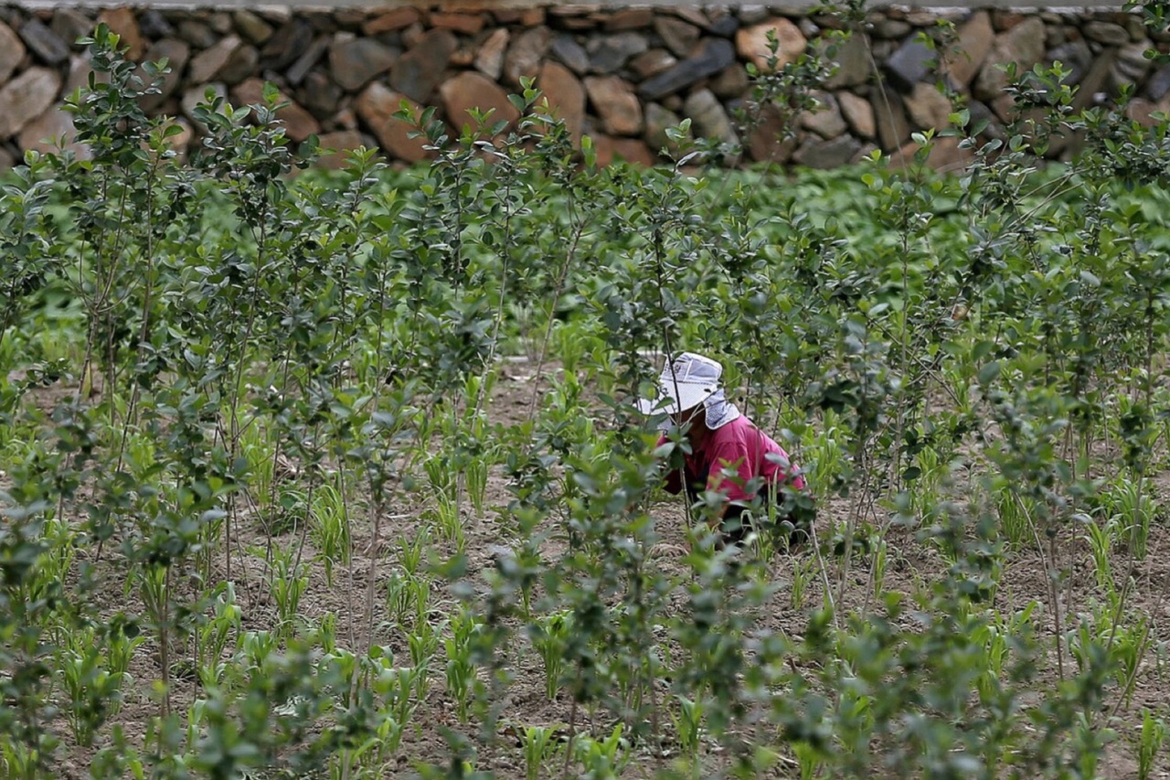 송정역시장
