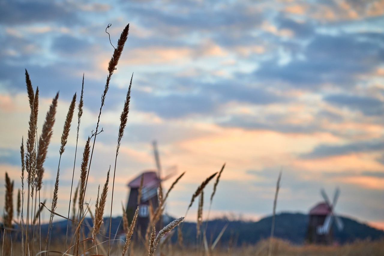 Sorae Wetland Ecological Park